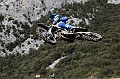 ROB_2353 (Copy)